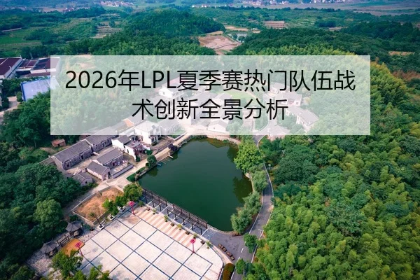 2026年LPL夏季赛热门队伍战术创新全景分析