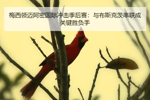 mei-xi-ling-mai-a-mi-guo-ji-chong-ji-ji-hou-sai-yu-bu-si-ke-ci-chuan-lian-cheng-guan-jian-sheng-fu-shou-3-838.jpg
